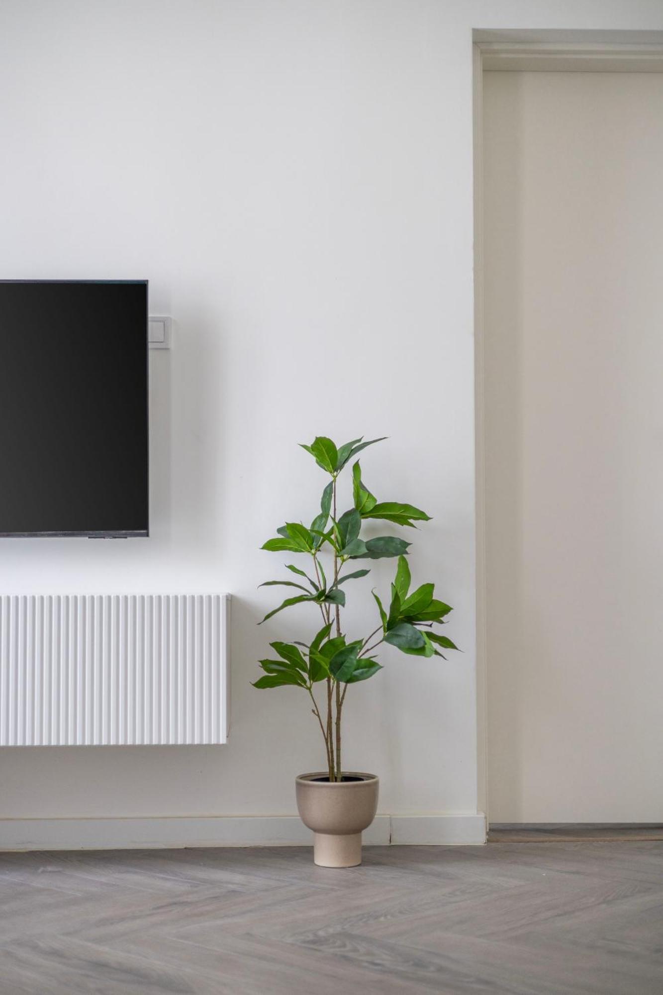 Apartment Cozy Downtown 2bedrm W' Peacefull Neighborhood *